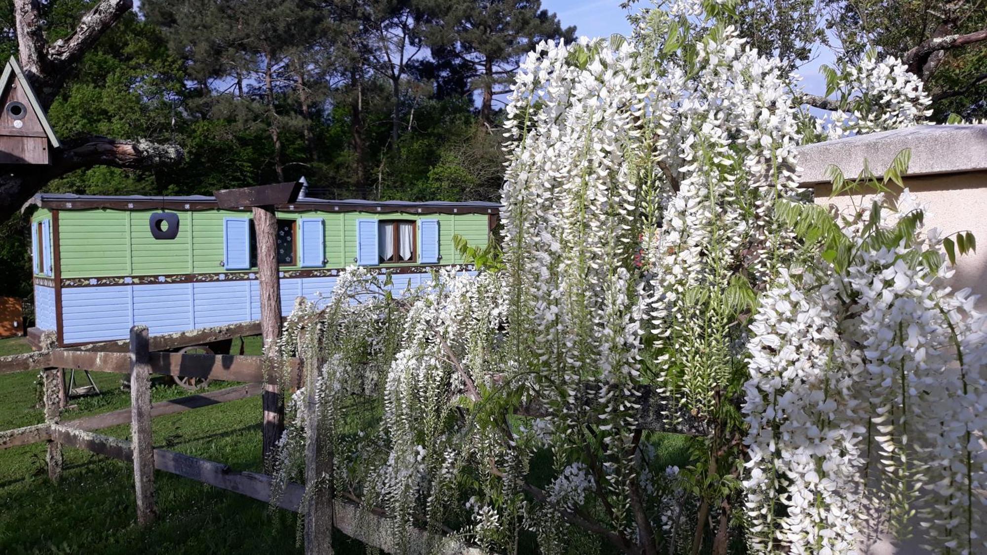 Sigalens Roulotte Fleur Des Champs 빌라 외부 사진